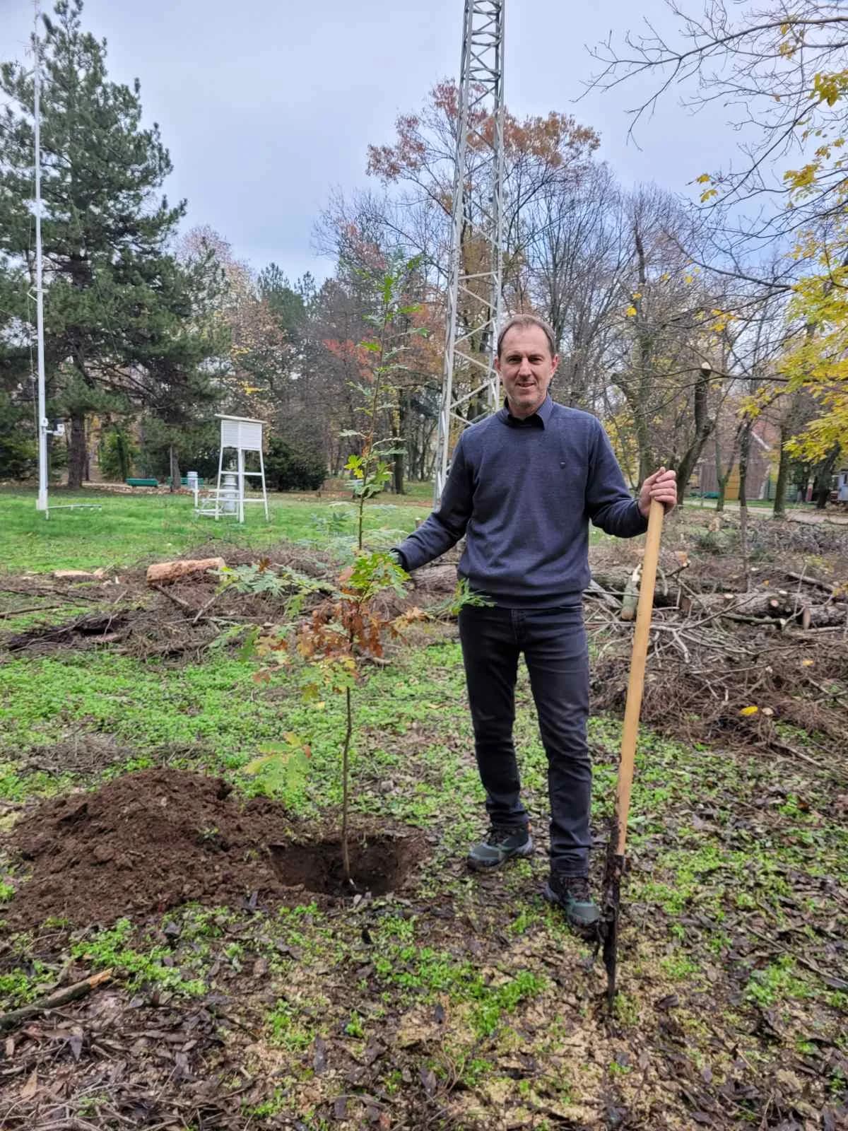 Trees Planting Lead Partner