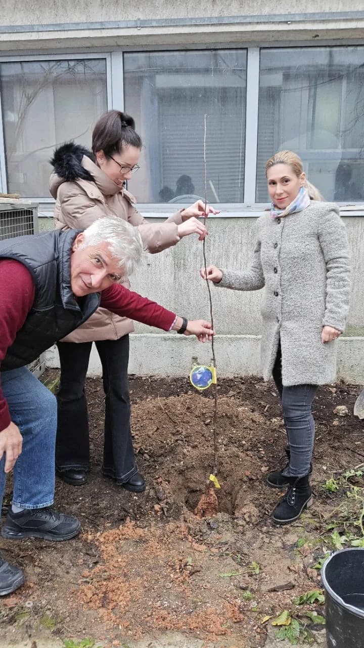 Tree planting - Project Partner 3